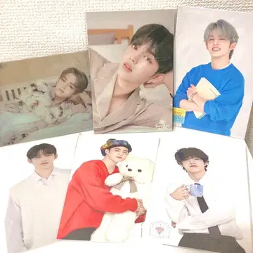 에스크 세부치 카페 엽서 6종 세트 SEVENTEEN 포스카