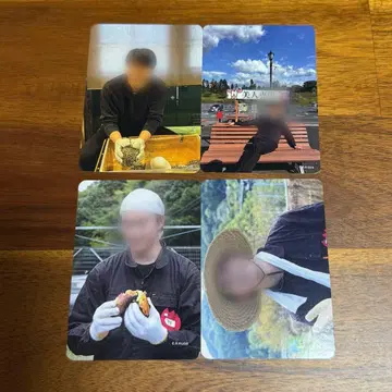 카이 쇼마 트레이딩 카드