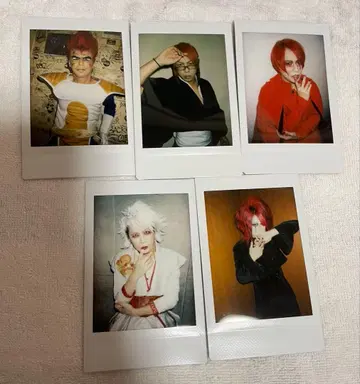 5기류 사카이 산키 폴라로이드