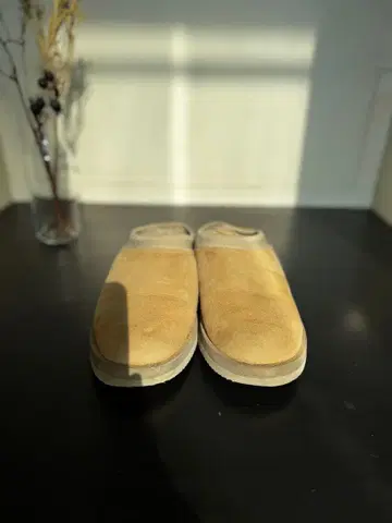 L'Appartement SUICOKE 무스탕 사보 24cm