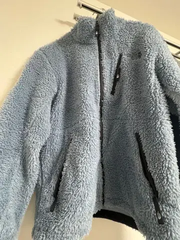 THE NORTH FACE 플리스 자켓 L 라이트 블루