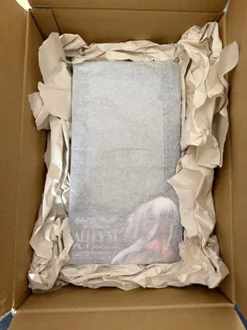 아레인 피규어 ex 컬러 새상품급 중고