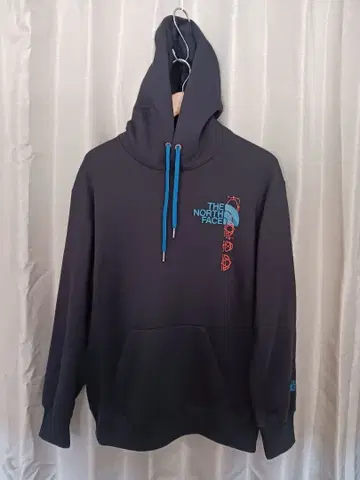 THE NORTH FACE 다크 그레이 후드티 L