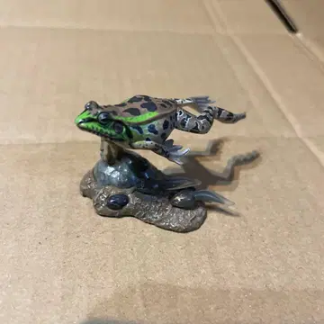 원색 양서류 개구리 도감 시크릿 [달마 개구리]