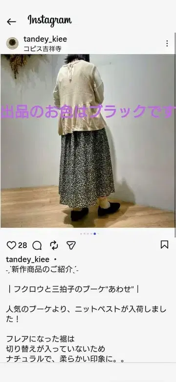 tandey 늑대와 올빼미 니트 베스트