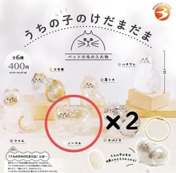 [ 새상품 미사용 ] 우리 아이 털뭉치 노멀 2개 가챠가챠