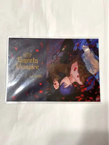 우타프리 마사토 갤런티 카드 SV