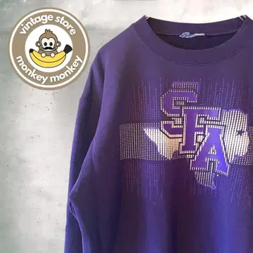 nw911 챔피온 칼리지 로고 맨투맨 트레이닝복 퍼플