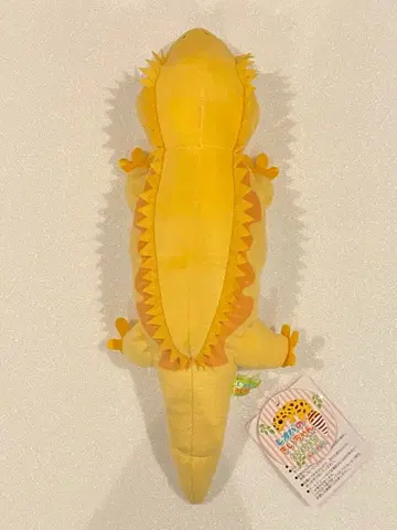 레오파의 키이짱 약 33cm 사이좋은 봉제 인형 쿠레퓽