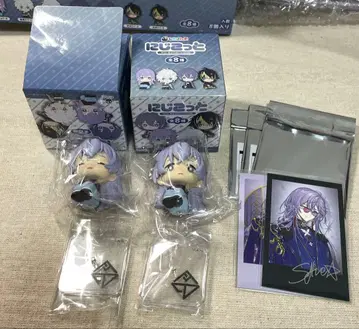 니지코토 호시미치 쇼 A.B 2개 디티카 2주년 폴라로이드풍 카드 세트