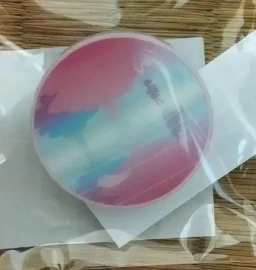 Ado 5주년 핀즈 벚꽃날과 타임머신