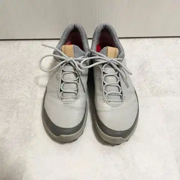 ecco 골프화 BIOM HYBRID3 25.5cm 1558045