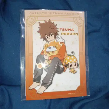 가정교사 히트맨 REBORN! AGF 휴일ver. 프로마이드