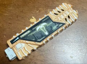 가면라이더 W 도펀트 메모리 테러