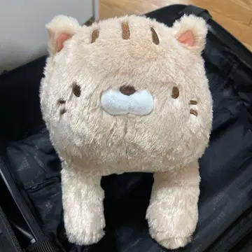 푹 퍼진 고양이 빅 고양이형 봉제 인형 크림색