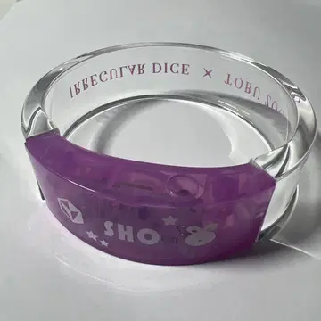 이레이스 쇼토 토부 동물공원 콜라보 라이트 뱅글