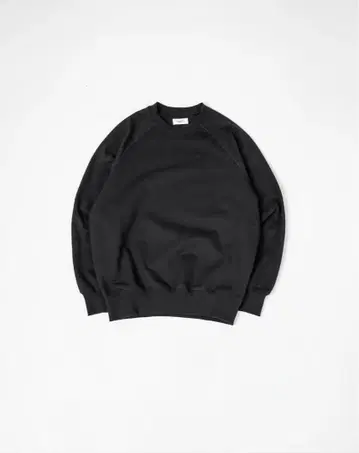 래글런 슬리브 맨투맨 B5132