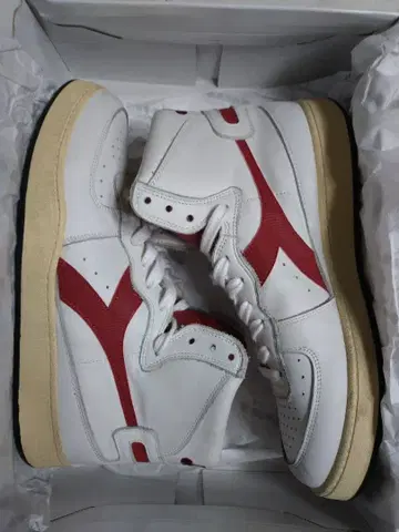 디아도라 헤리티지 하이컷