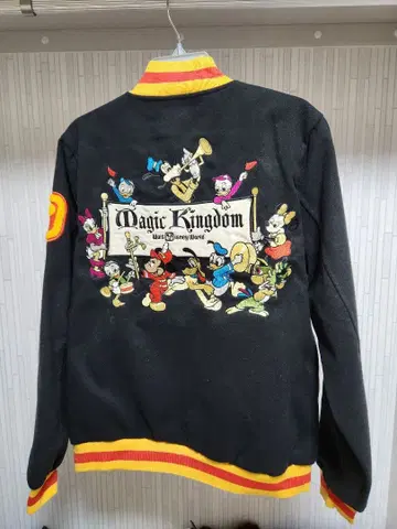 스피릿 저지 Magic Kingdom