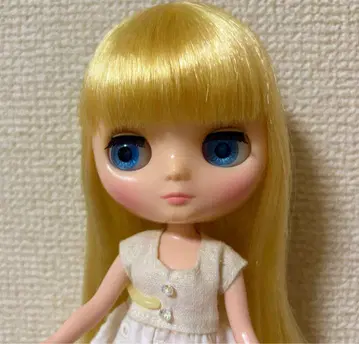 미디 브라이스 넬리 니블스