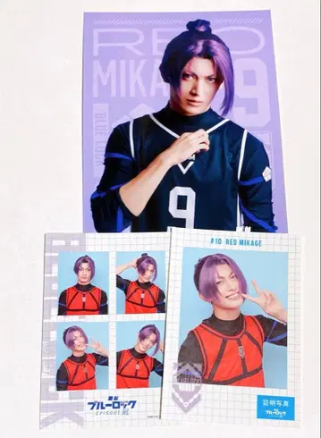 블루 스틸 에피 나기 미카게 레오 증명사진풍 씰 랜덤 브로마이드