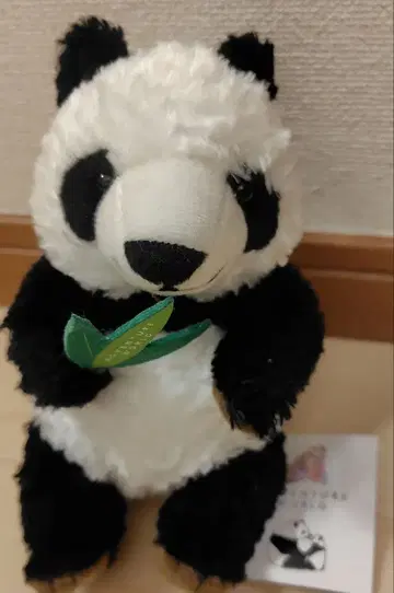 팬더 봉제 인형