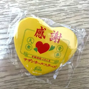 서던 올스타즈 라이브 투어 2025 특전 배지