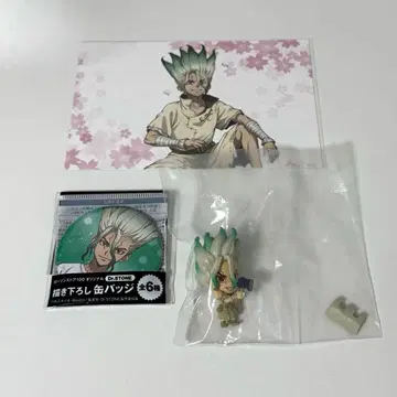 Dr.STONE 이시가미 센쿠 캡슐 피규어 혜택 엽서 캔뱃지