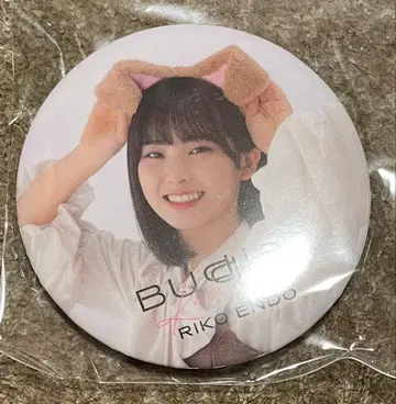 사쿠라자카46 엔도 리코 캔뱃지 강아지 귀 buddies 감사제