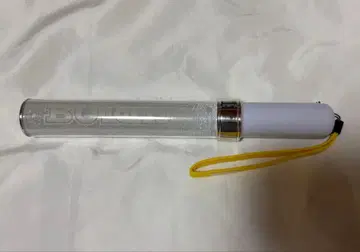 BUDDiiS 응원봉 ver.3