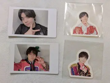 팬더 드래곤 나기