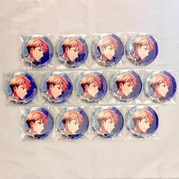 앙스타 [ 11/21 네코포스 발송 ] 나루카미 아라시 앨범 캔뱃지