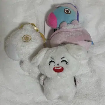 BTS BT21 마스터 jhope 호석 호비