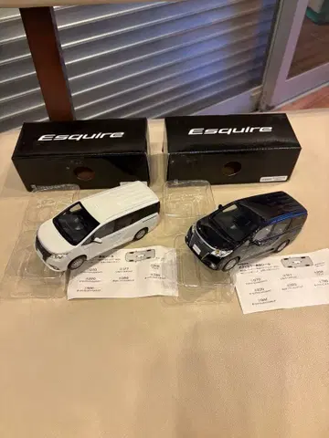 Esquire 미니카 화이트 펄 스파클링 블랙 펄 2대 세트