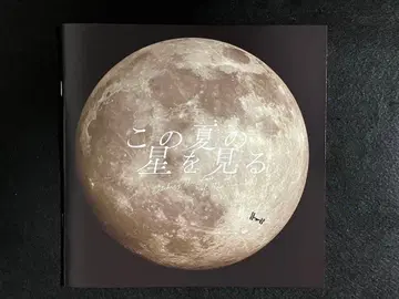 이 여름의 별을 보는 팜플렛 플라이어