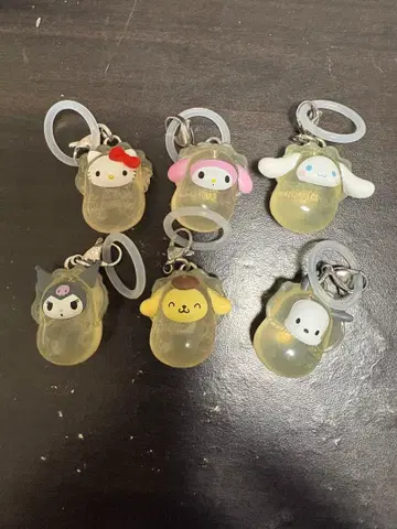 메지루시 액세서리  오이스터 산리오 풀 컴프