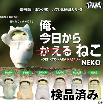 총 6종 HMA 봉게식 나, 오늘부터 개구리 고양이 1