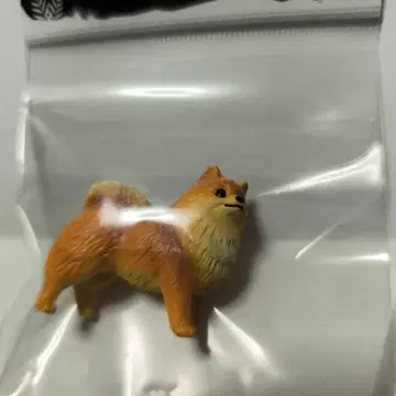 [작은 진짜] Miniatureplanet 포메라니안 피규어