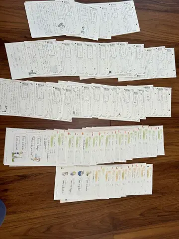 공문 국어 | B | B 영어 D E 미사용 미기입