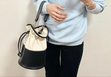 메종 드 돌체 복조리 백