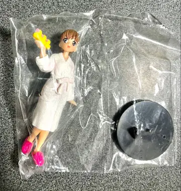 걸즈 인 유니폼 VOL.3 특수전대 데카레인저 우메코 시크릿