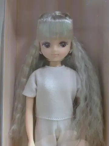 2021년 스프링 컬렉션 모델 키라짱 V4 리카짱 캐슬