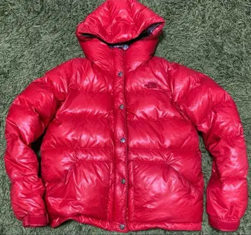 THE NORTH FACE 다운 자켓
