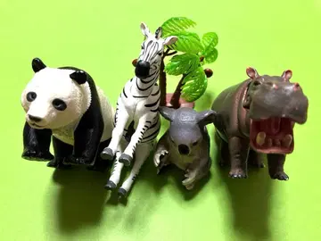 아니아 유쾌한 동료들