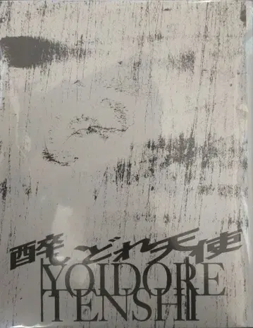 취권 천사 팜플렛