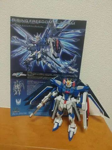 1/144 HG 라이징 프리덤 건담 완성품 상품 동시 300엔 할인