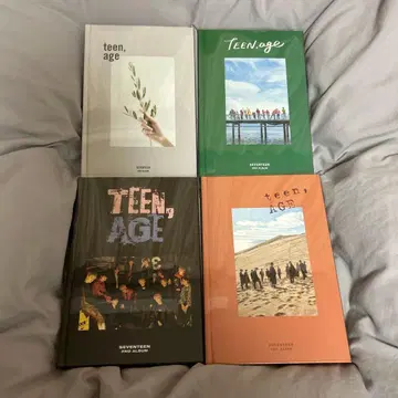 SEVENTEEN 세부치 TEEN, AGE 앨범