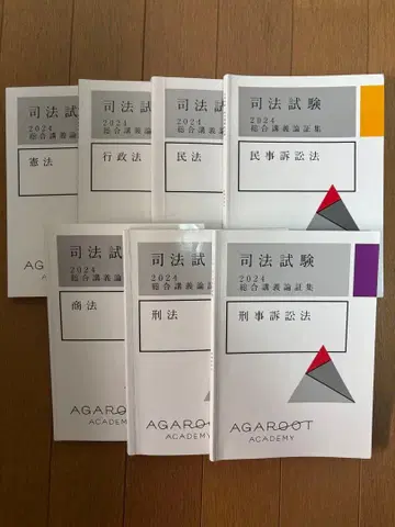 아갈루트 사법시험 2024 종합강의 논증집