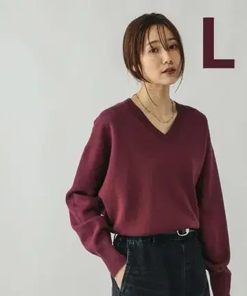 GLOBAL WORK 맨투맨 라이크 V넥 풀오버 (L)