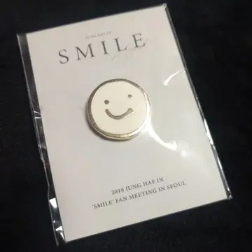 정해인 핀 배지